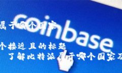 比特派属于哪个国家思考