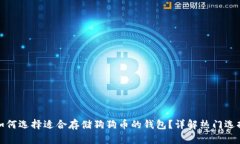 如何选择适合存储狗狗币