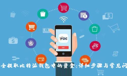 如何安全提取比特派钱包中的资金：详细步骤与常见问题解析