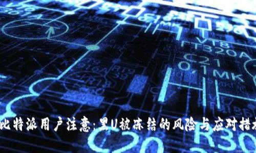  比特派用户注意：黑U被冻结的风险与应对措施