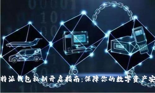 比特派钱包私钥开启指南：保障你的数字资产安全