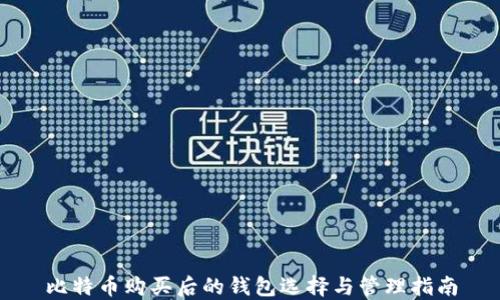 
比特币购买后的钱包选择与管理指南