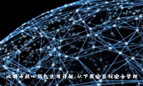 比特币核心钱包使用详解：从下载安装到安全管理