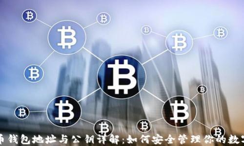 
比特币钱包地址与公钥详解：如何安全管理你的数字资产