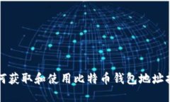 如何获取和使用比特币钱