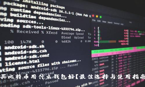 买比特币用什么钱包好？最佳选择与使用指南