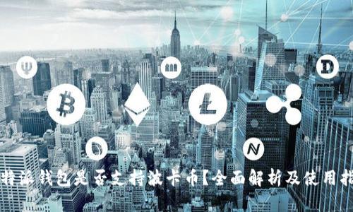 比特派钱包是否支持波卡币？全面解析及使用指南