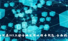 如何在iOS上安全地使用比
