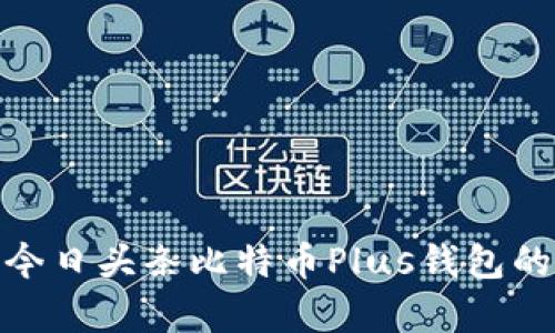 : 深度解析今日头条比特币Plus钱包的功能与优势