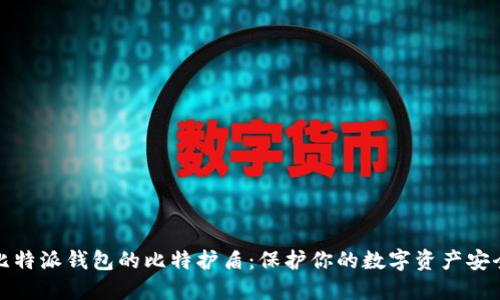 比特派钱包的比特护盾：保护你的数字资产安全
