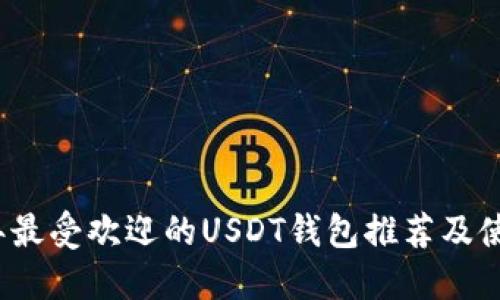 2023年最受欢迎的USDT钱包推荐及使用指南