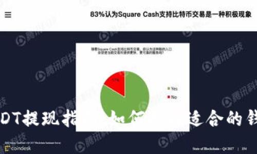 USDT提现指南：如何选择适合的钱包