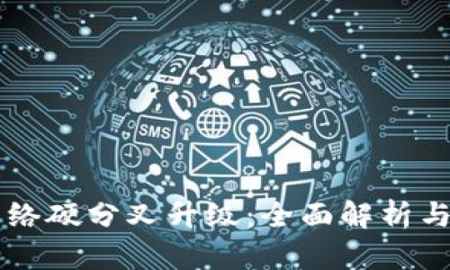 比特派网络硬分叉升级：全面解析与未来展望