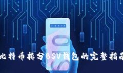 比特币拆分BSV钱包的完整