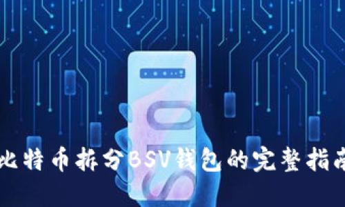 比特币拆分BSV钱包的完整指南