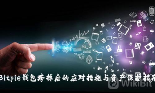 Bitpie钱包垮掉后的应对措施与资产保护指南