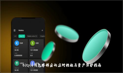 Bitpie钱包垮掉后的应对措施与资产保护指南
