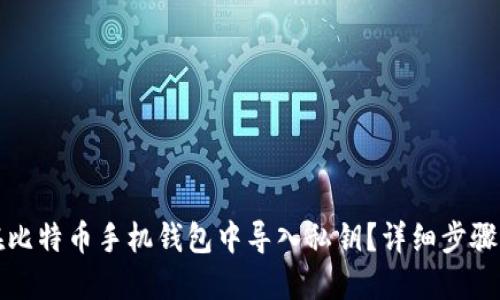 如何在比特币手机钱包中导入私钥？详细步骤与技巧