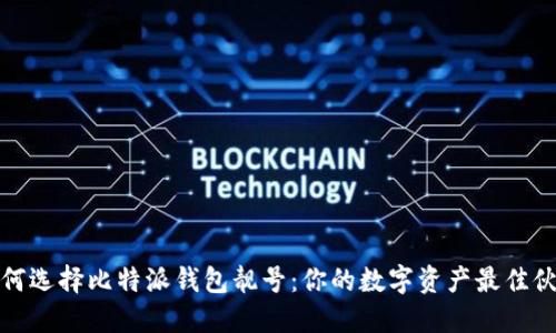 如何选择比特派钱包靓号：你的数字资产最佳伙伴