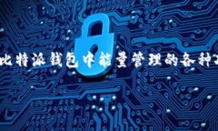 jiaoti比特派钱包TRX能量获