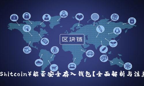 屎币（Shitcoin）能否安全存入钱包？全面解析与注意事项