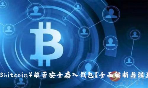 屎币（Shitcoin）能否安全存入钱包？全面解析与注意事项