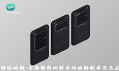 比特派映射：全面解析比