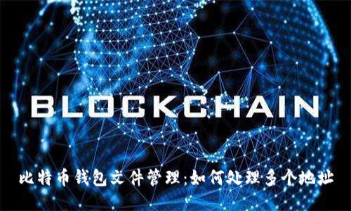 比特币钱包文件管理：如何处理多个地址