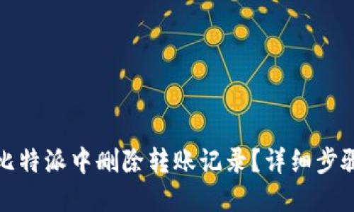 如何在比特派中删除转账记录？详细步骤与解答