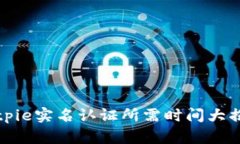 Bitpie实名认证所需时间大