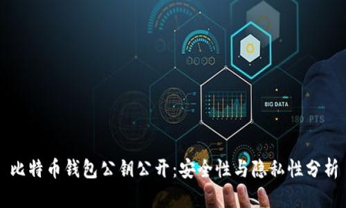 比特币钱包公钥公开：安全性与隐私性分析