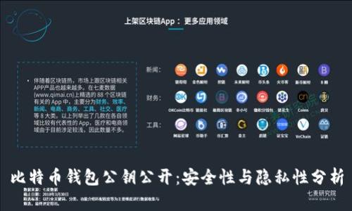 比特币钱包公钥公开：安全性与隐私性分析