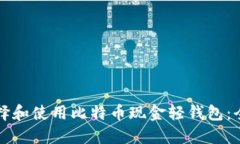 如何选择和使用比特币现