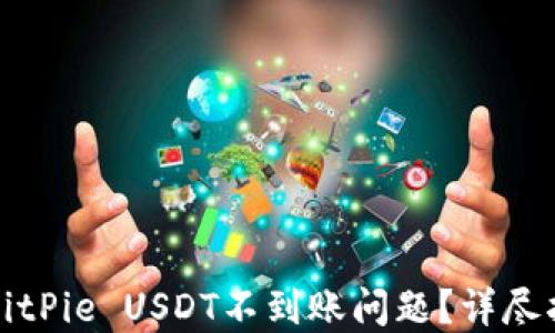 
如何解决BitPie USDT不到账问题？详尽指南与解答