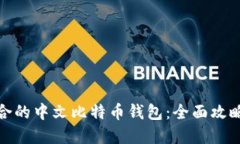 如何选择适合的中文比特