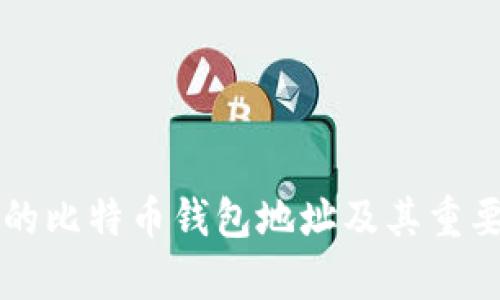几年前的比特币钱包地址及其重要性解析