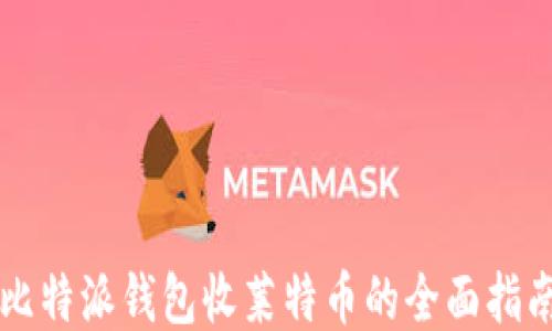 
比特派钱包收莱特币的全面指南