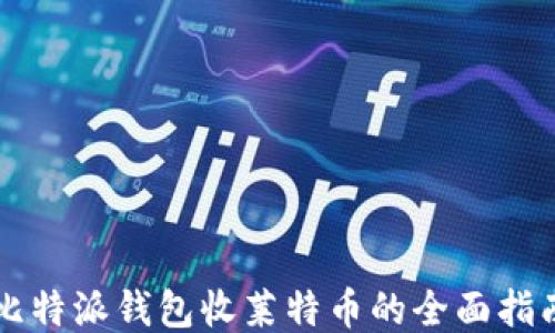 
比特派钱包收莱特币的全面指南