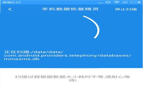 
比特币轻量钱包全面解析：安全性、品牌推荐与用户指南