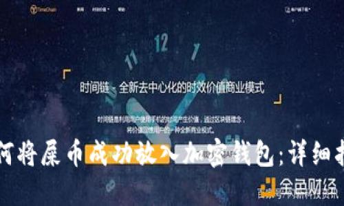 如何将屎币成功放入加密钱包：详细指南