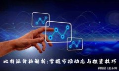 比特派价格解析：掌握市