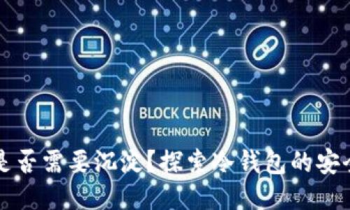 比特派冷钱包是否需要沉淀？探索冷钱包的安全性与使用技巧
