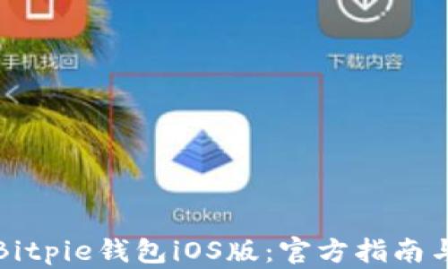 
如何下载Bitpie钱包iOS版：官方指南与使用技巧