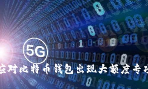 如何应对比特币钱包出现大额度专项问题