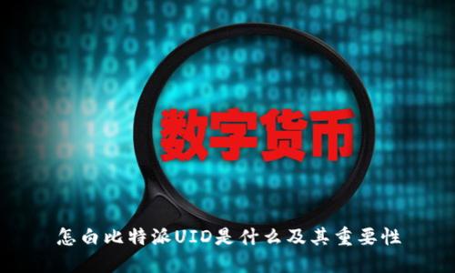 怎白比特派UID是什么及其重要性