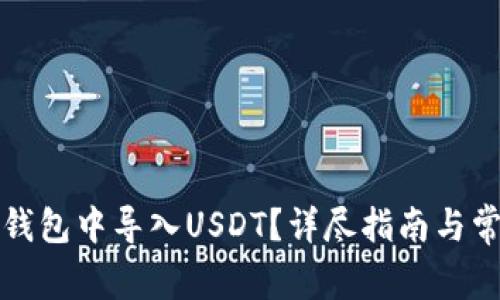 如何在小狐钱包中导入USDT？详尽指南与常见问题解析