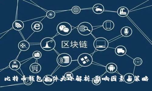 比特币钱包文件大小解析：影响因素与策略