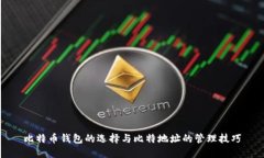比特币钱包的选择与比特
