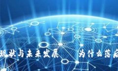 狗狗币钱包的现状与未来