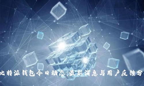  比特派钱包今日动态：最新消息与用户反馈分析